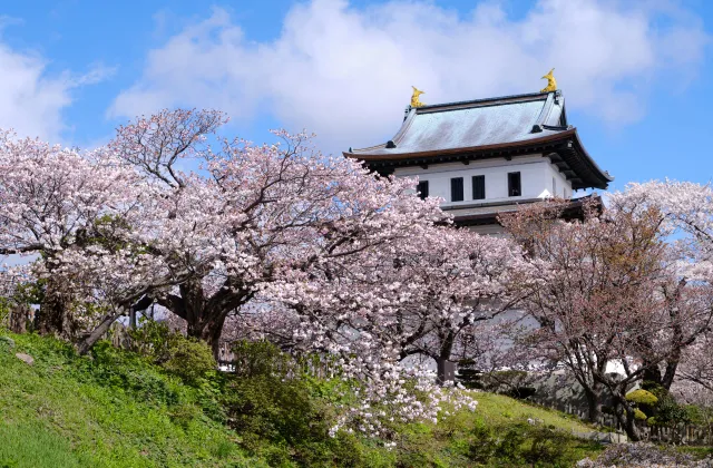 松前公園